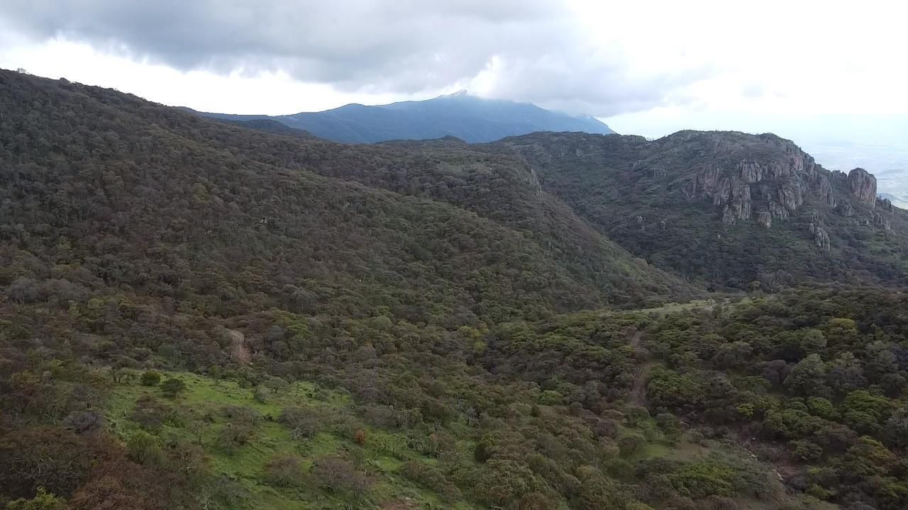 SE FORTALECEN LAS ACCIONES EN LAS SEIS ÁREAS NATURALES PROTEGIDAS DEL ESTADO