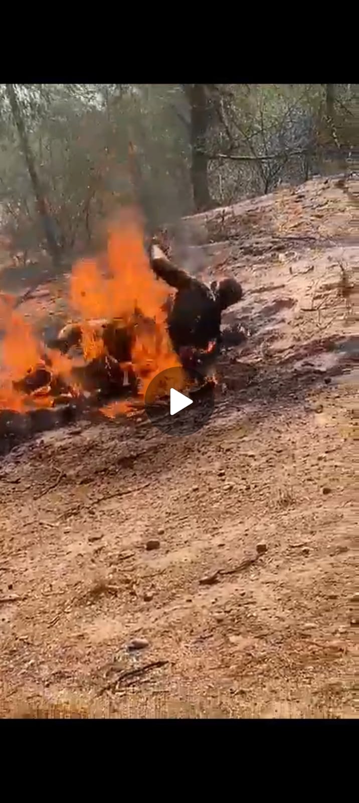 Video Brutal: Crimen Organizado Quema Vivo a Rival y Graba el Atroz Acto