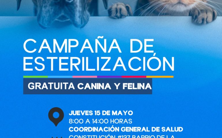 ABREN NUEVAS FECHAS PARA ESTERILIZACIONES GRATUITAS CANINAS Y FELINAS