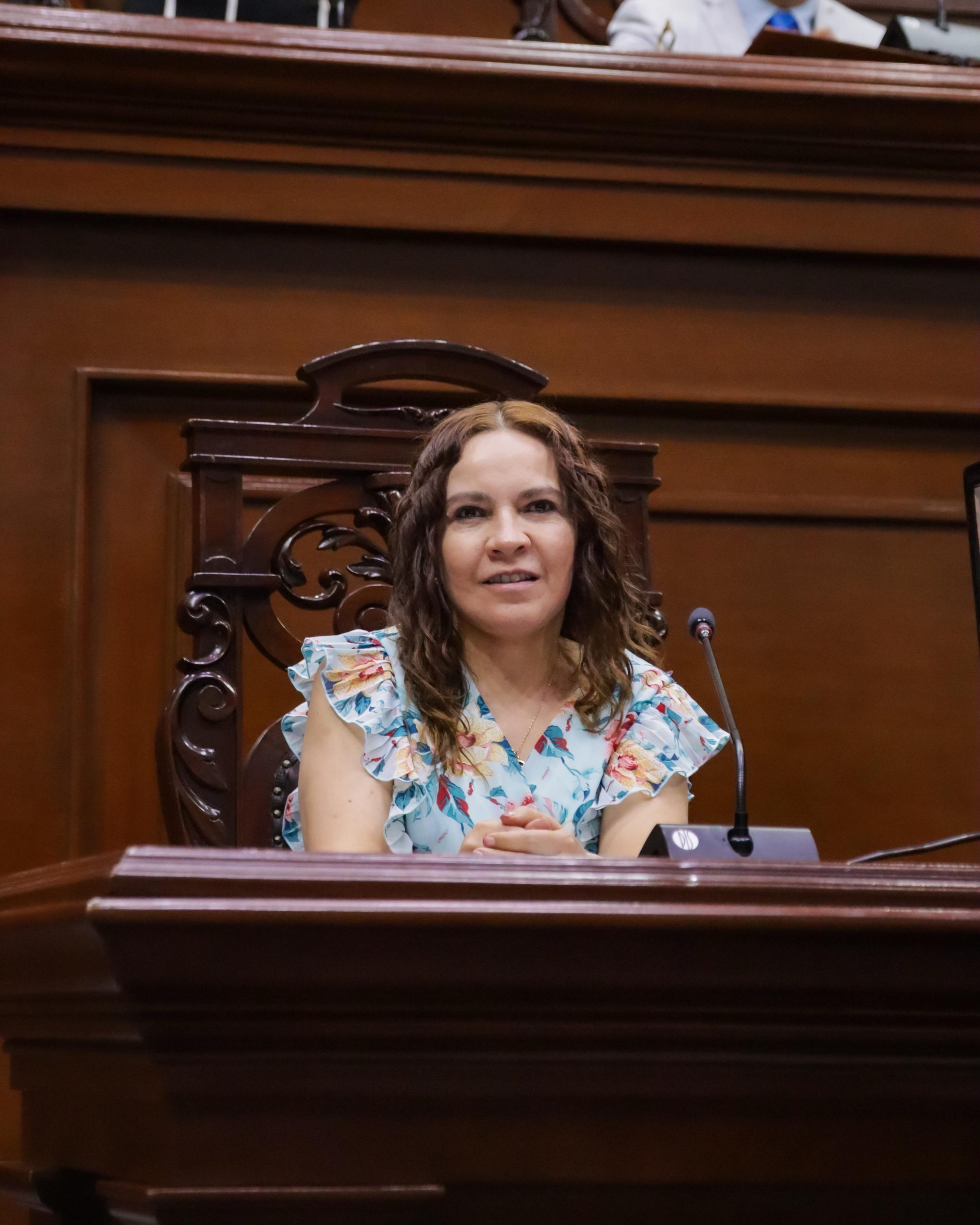Diputada Laura Ponce presenta iniciativa para garantizar el uso correcto de la pensión alimenticia