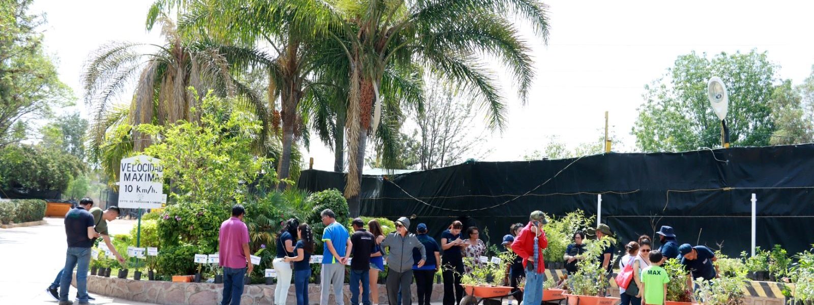 INICIA VIVERO MUNICIPAL DONACIÓN DE PLANTAS Y ÁRBOLES 2025