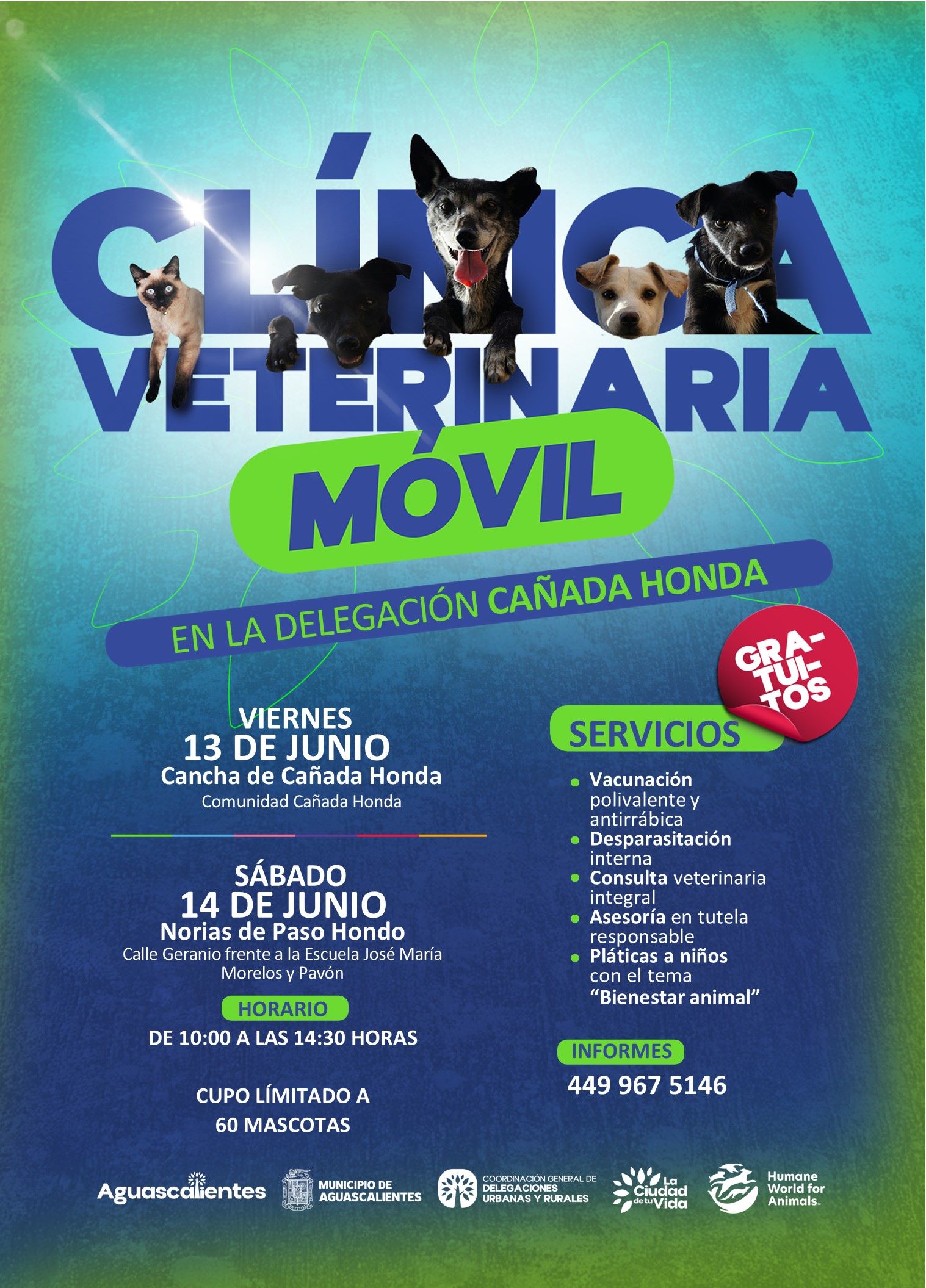 LA CLÍNICA VETERINARIA MÓVIL BRINDARÁ SERVICIO EN LAS COMUNIDADES RURALES