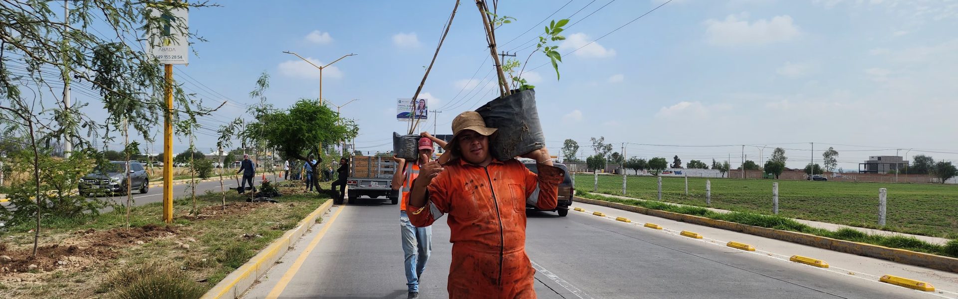MEGA REFORESTACIÓN EN JESÚS MARÍA, SE PLANTARON MÁS DE 300 EJEMPLARES DE DISTINTAS ESPECIES