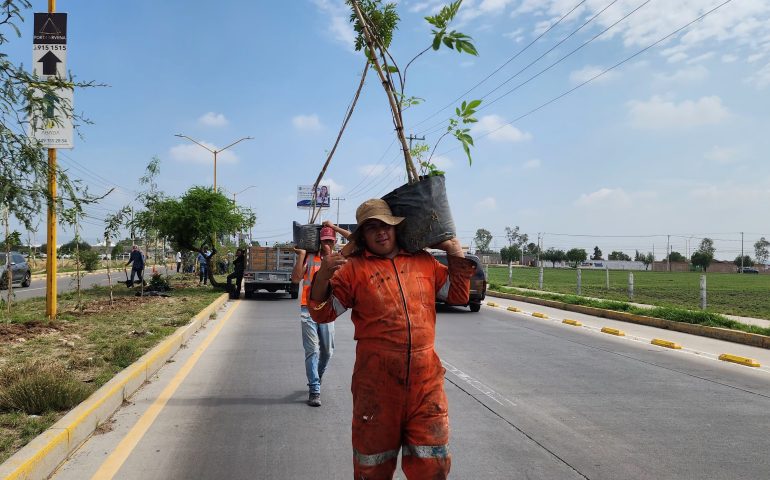 MEGA REFORESTACIÓN EN JESÚS MARÍA, SE PLANTARON MÁS DE 300 EJEMPLARES DE DISTINTAS ESPECIES