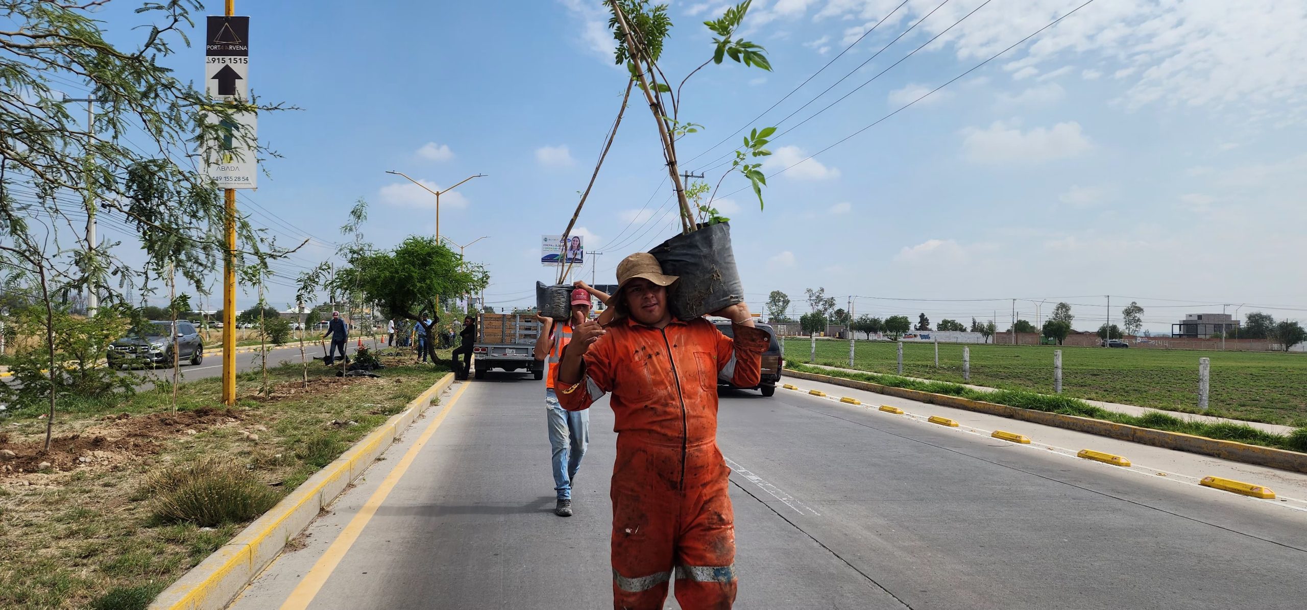 MEGA REFORESTACIÓN EN JESÚS MARÍA, SE PLANTARON MÁS DE 300 EJEMPLARES DE DISTINTAS ESPECIES