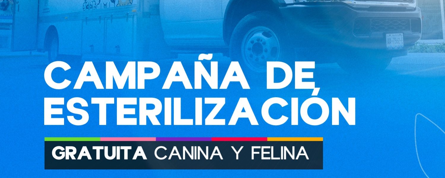 NUEVA JORNADA DE ESTERILIZACIÓN CANINA Y FELINA GRATUITA