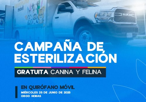 NUEVA JORNADA DE ESTERILIZACIÓN CANINA Y FELINA GRATUITA