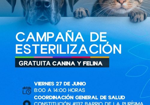 NUEVAS FECHAS PARA ESTERILIZACIONES GRATUITAS CANINAS Y FELINAS