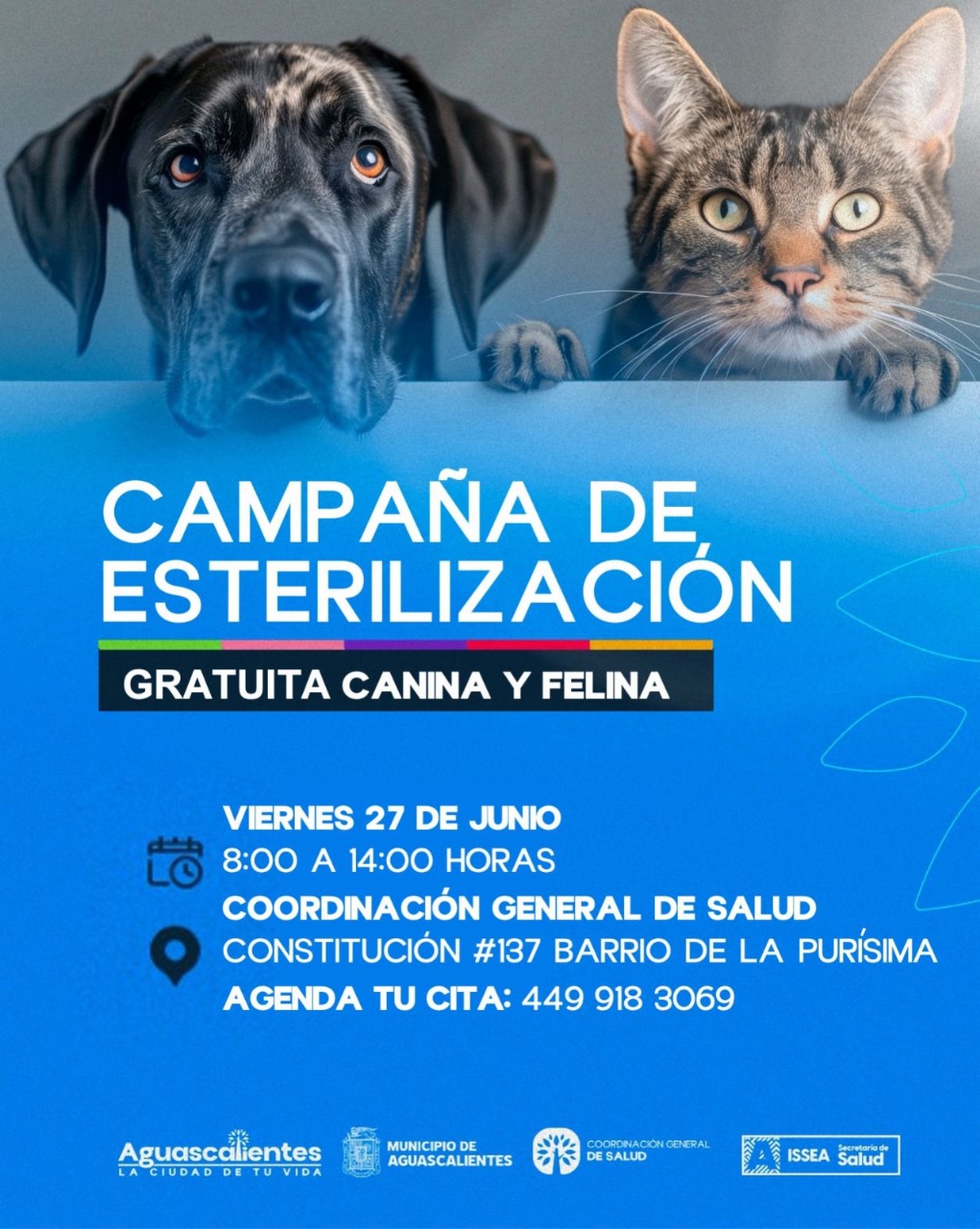NUEVAS FECHAS PARA ESTERILIZACIONES GRATUITAS CANINAS Y FELINAS