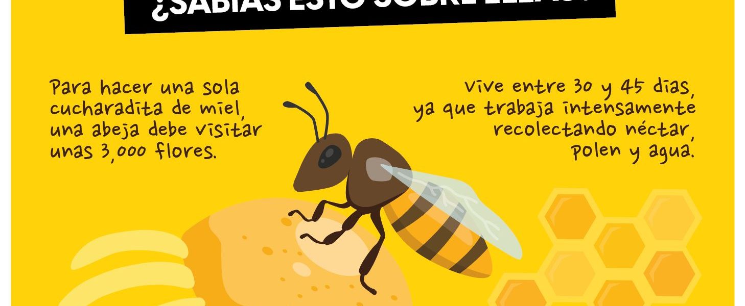 PRODUCTORES DE MIEL RECIBEN EQUIPO Y SUPLEMENTOS ALIMENTICIOS PARA FORTALECER SUS ACTIVIDADES