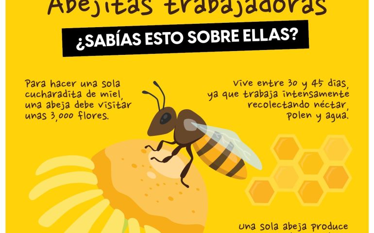 PRODUCTORES DE MIEL RECIBEN EQUIPO Y SUPLEMENTOS ALIMENTICIOS PARA FORTALECER SUS ACTIVIDADES