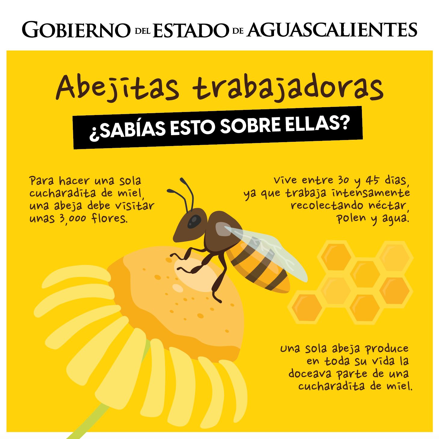 PRODUCTORES DE MIEL RECIBEN EQUIPO Y SUPLEMENTOS ALIMENTICIOS PARA FORTALECER SUS ACTIVIDADES