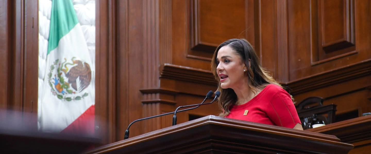 PROPONE ARLETTE MUÑOZ FOROS DIGITALES PERMANENTES PARA PERSONAS CON DISCAPACIDAD