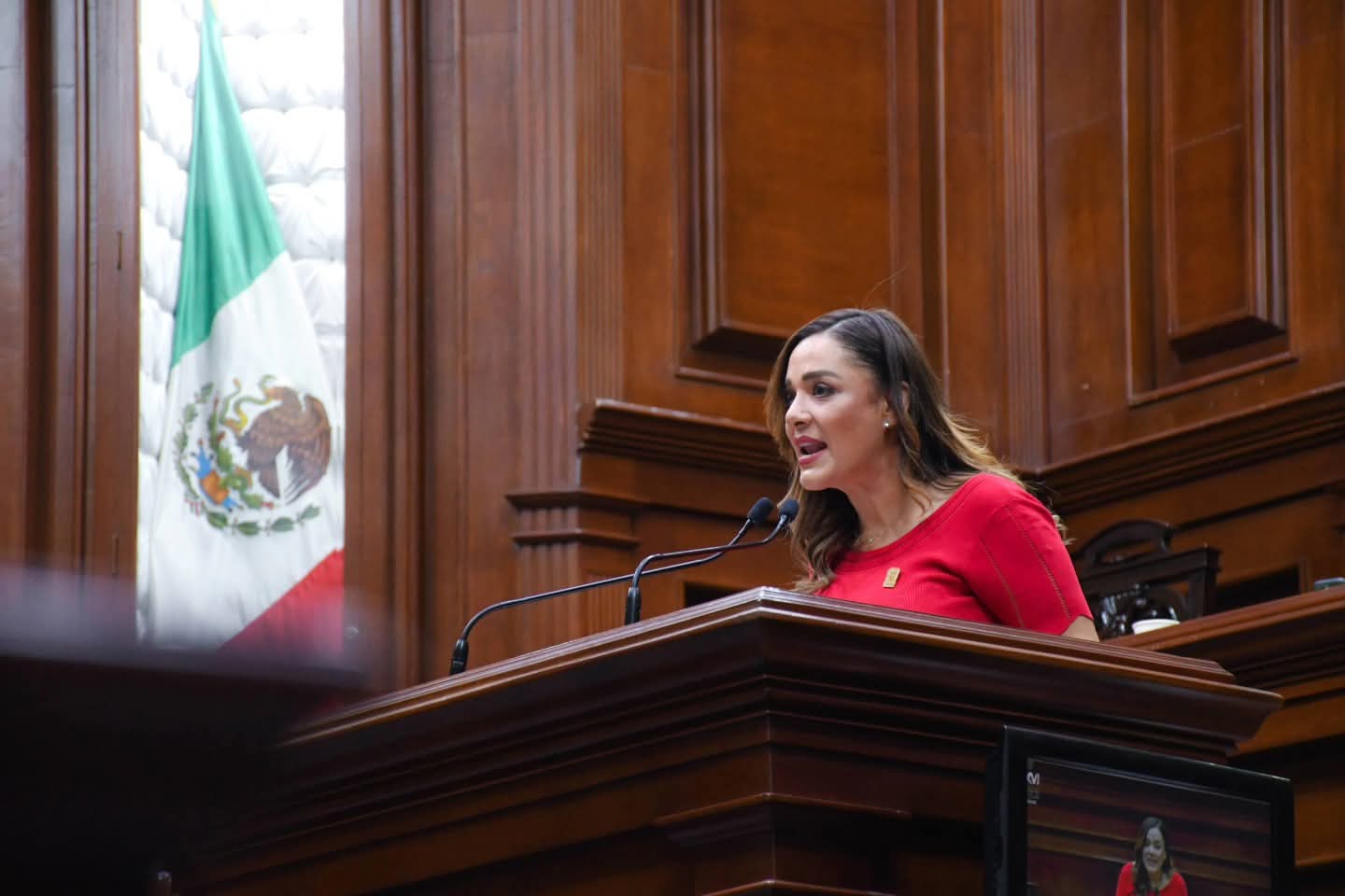 PROPONE ARLETTE MUÑOZ FOROS DIGITALES PERMANENTES PARA PERSONAS CON DISCAPACIDAD