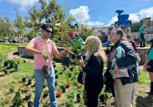 REALIZARÁN REFORESTACIÓN COMUNITARIA EN LA LÍNEA VERDE
