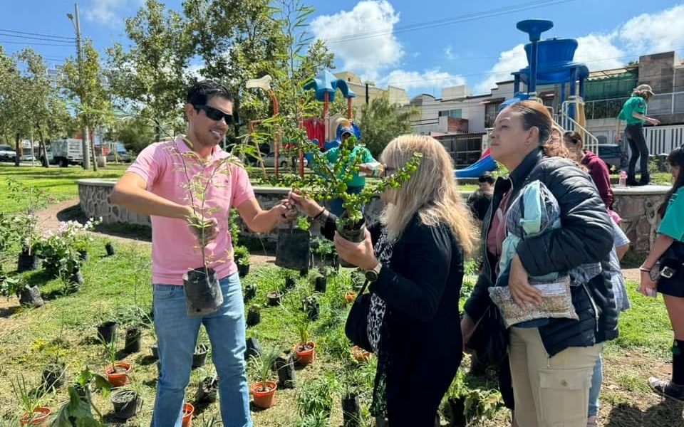 REALIZARÁN REFORESTACIÓN COMUNITARIA EN LA LÍNEA VERDE