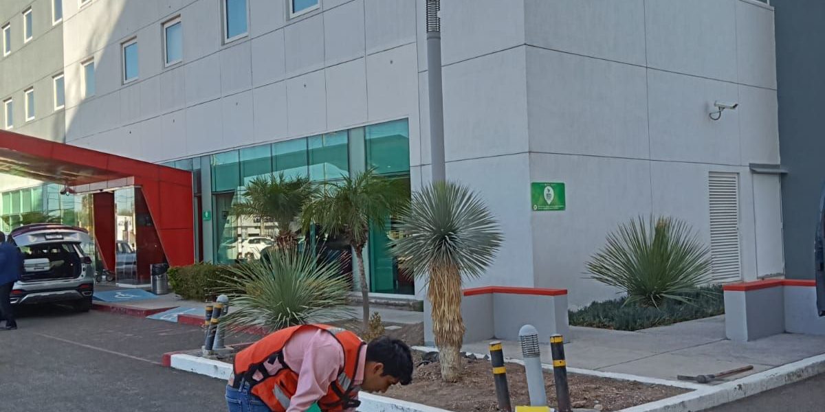 SUPERVISA MIAA DESCARGAS SANITARIAS EN NEGOCIOS Y RESTAURANTES