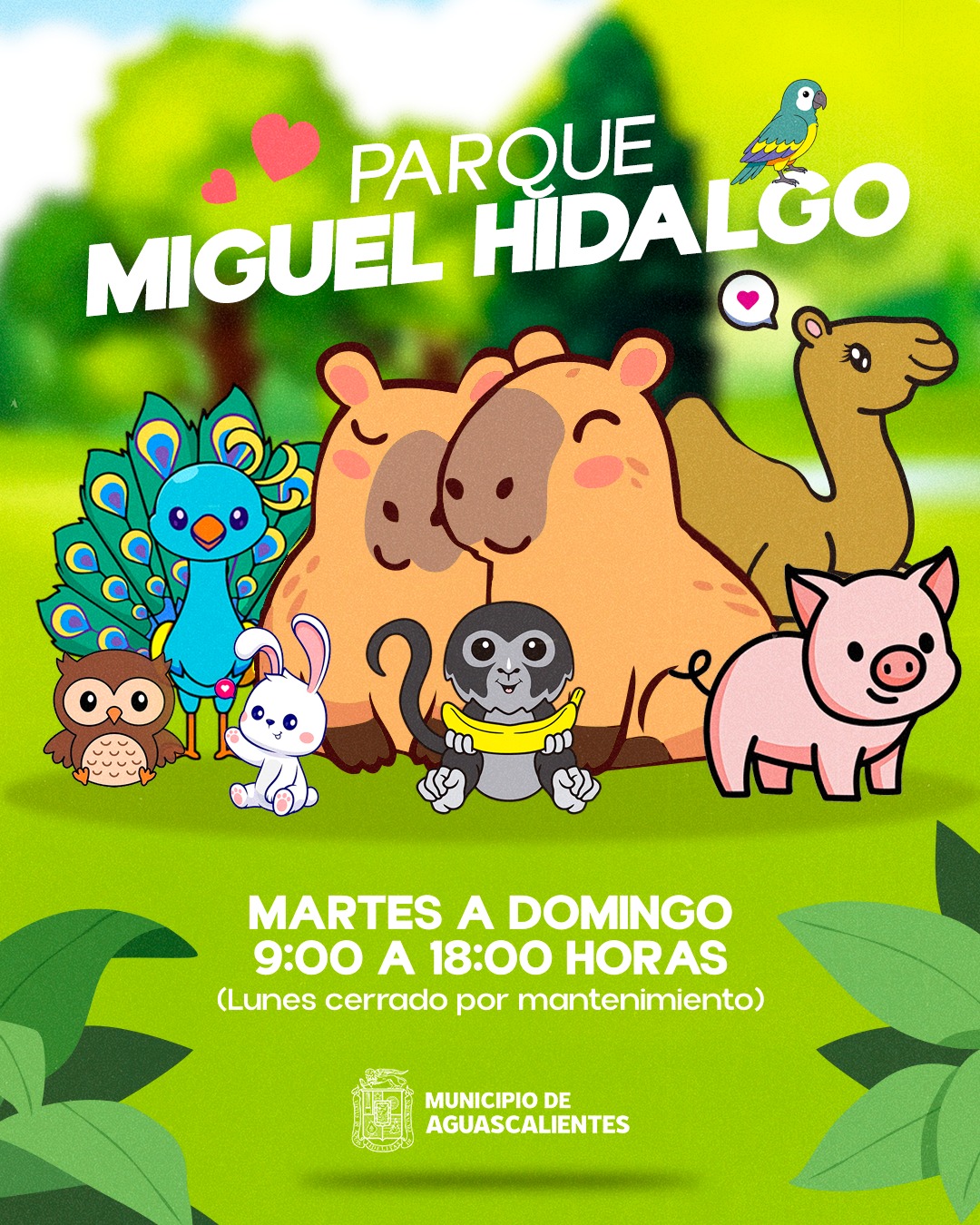 UN OASIS EN EL CORAZÓN DE AGUASCALIENTES: EL PARQUE HIDALGO