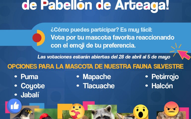 🚨 ¡Atención, Pabellón de Arteaga! 🚨