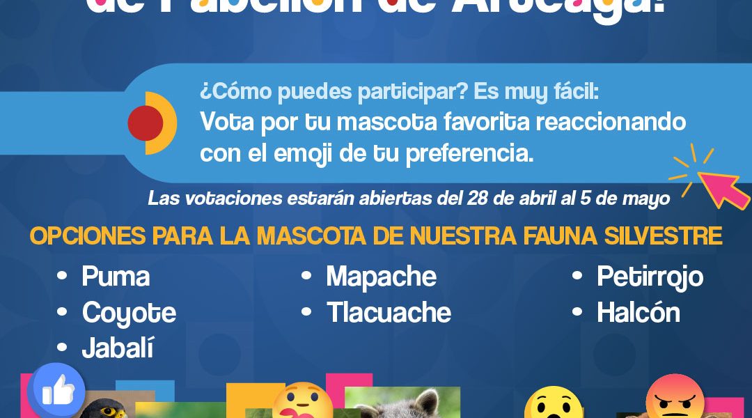 🚨 ¡Atención, Pabellón de Arteaga! 🚨