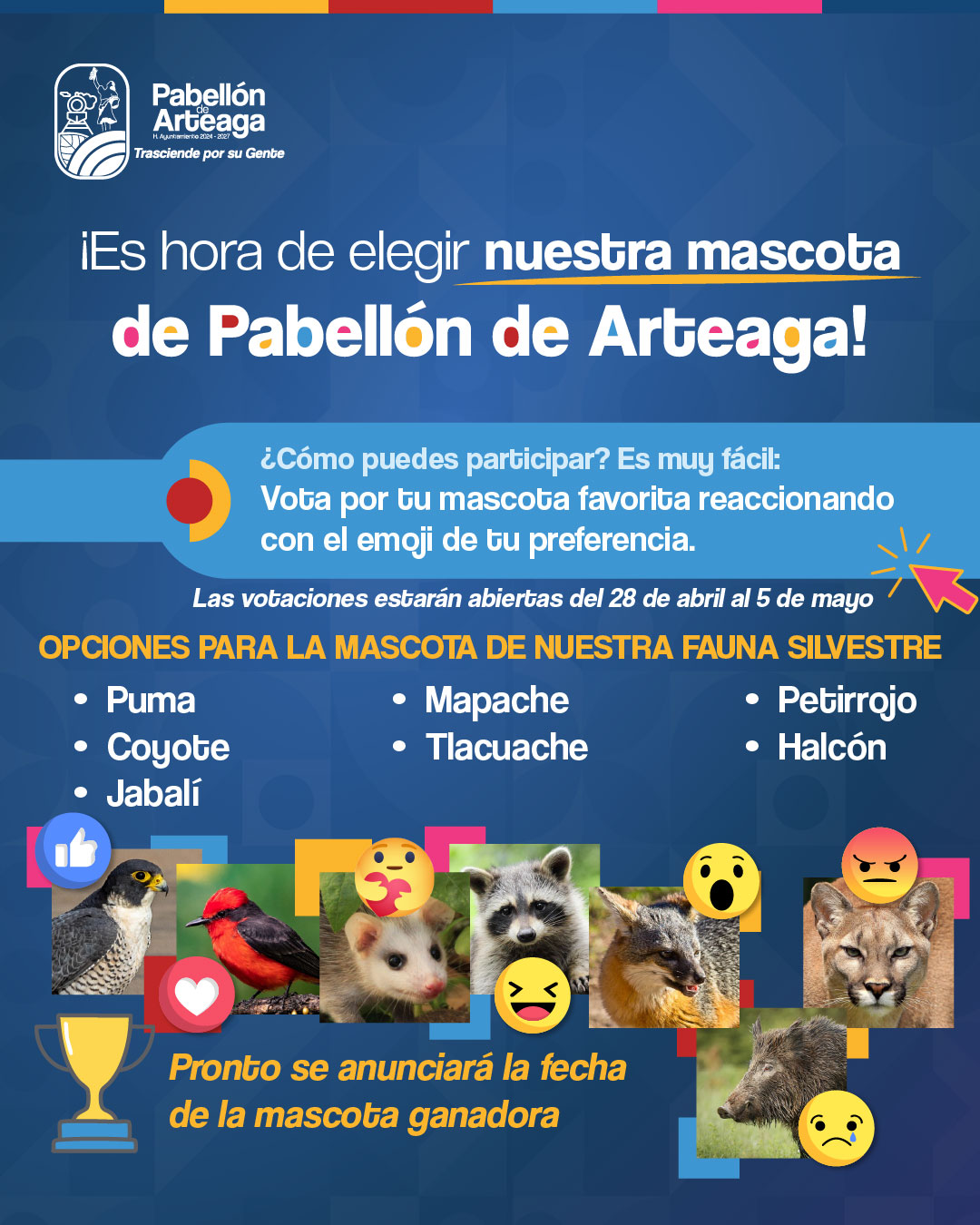 🚨 ¡Atención, Pabellón de Arteaga! 🚨