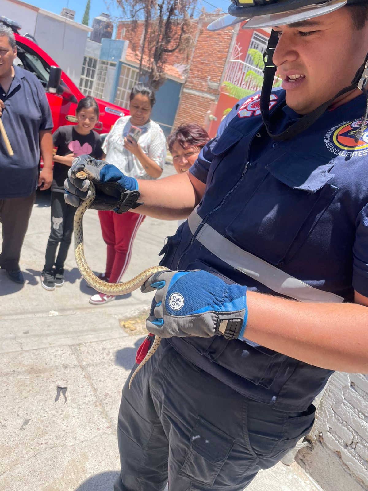 ADVIERTE MUNICIPIO SOBRE LA PRESENCIA DE SERPIENTES EN ESTA TEMPORADA DE LLUVIAS