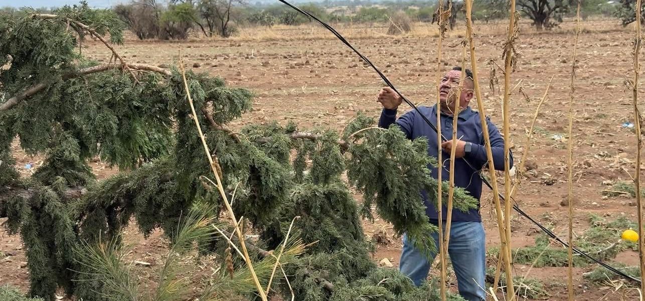 Atiende Ayuntamiento de Pabellón de Arteaga afectaciones por lluvias