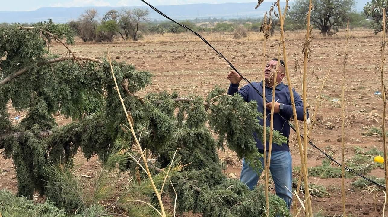 Atiende Ayuntamiento de Pabellón de Arteaga afectaciones por lluvias