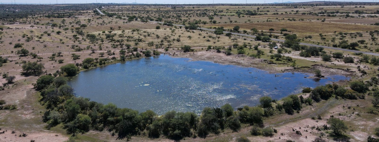 CAMINOS SACA COSECHA IMPULSAN LA PRODUCTIVIDAD DEL CAMPO EN AGUASCALIENTES