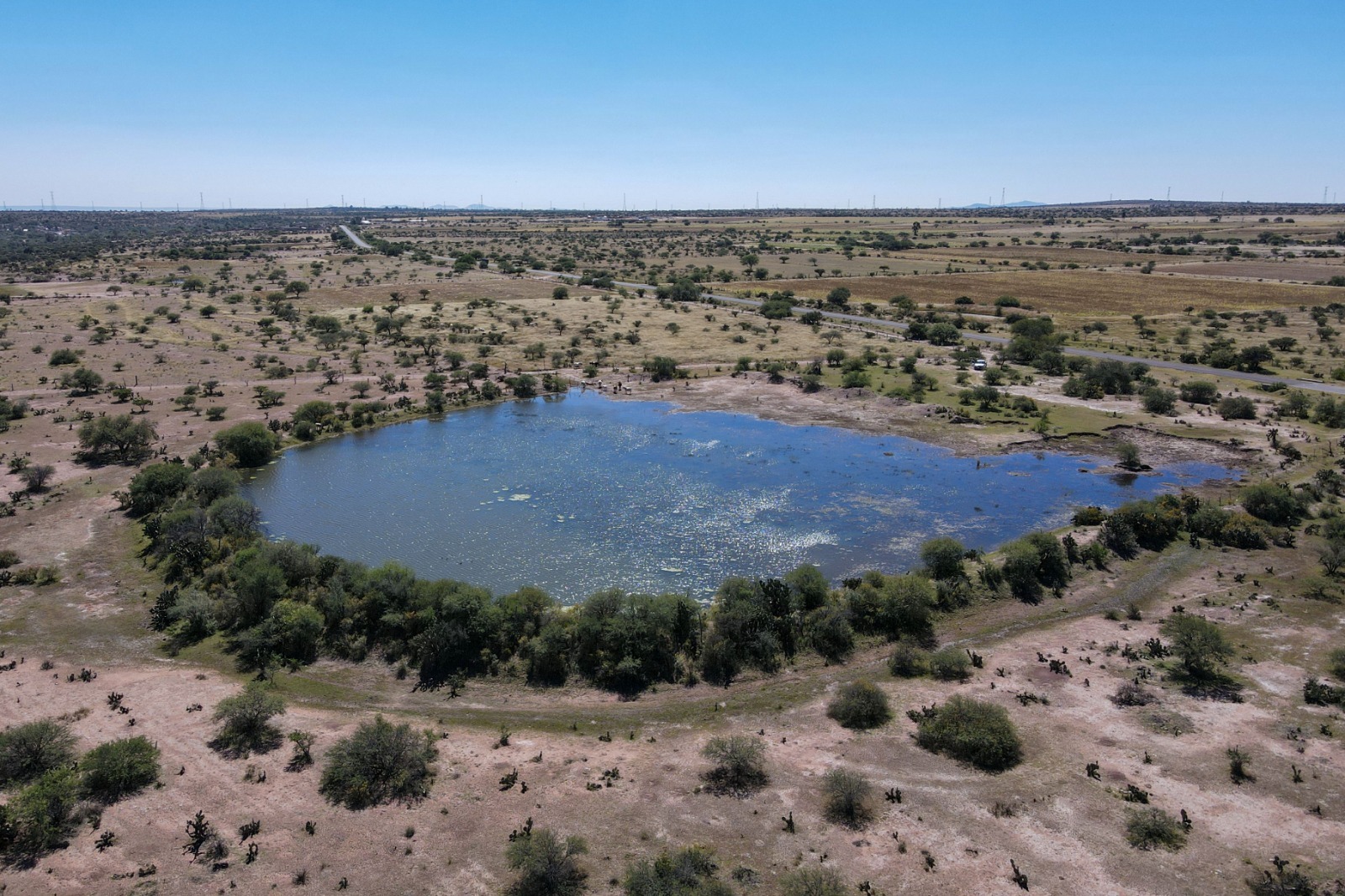 CAMINOS SACA COSECHA IMPULSAN LA PRODUCTIVIDAD DEL CAMPO EN AGUASCALIENTES