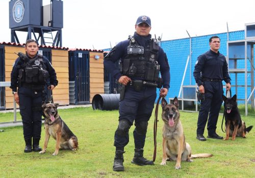EMBAJADA DE ESTADOS UNIDOS RECONOCE LA PREPARACIÓN DE LA UNIDAD K9 DE LA POLICÍA ESTATAL DE AGUASCALIENTES