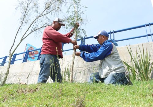 INTENSIFICÓ MUNICIPIO ACCIONES DE REFORESTACIÓN EN LA SEMANA DEL MEDIO AMBIENTE