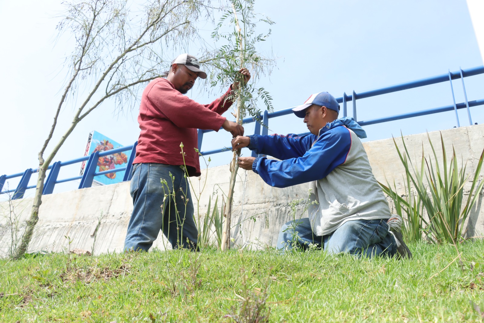 INTENSIFICÓ MUNICIPIO ACCIONES DE REFORESTACIÓN EN LA SEMANA DEL MEDIO AMBIENTE