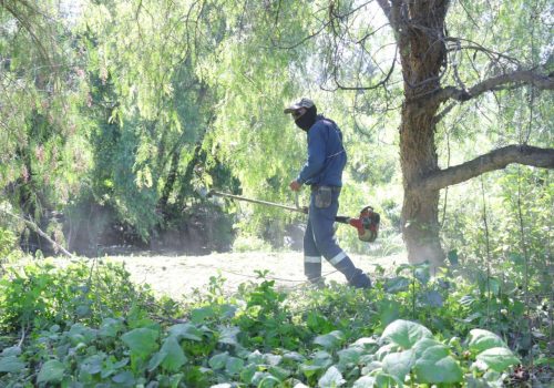 IMPLEMENTA MUNICIPIO MEGAOPERATIVO DE LIMPIEZA PARA MEJORAR EL ENTORNO DEL RÍO SAN PEDRO