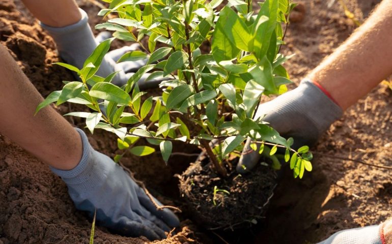 IMPULSA MUNICIPIO DE AGUASCALIENTES ACTIVIDADES CONMEMORATIVAS AL DÍA MUNDIAL DEL MEDIO AMBIENTE