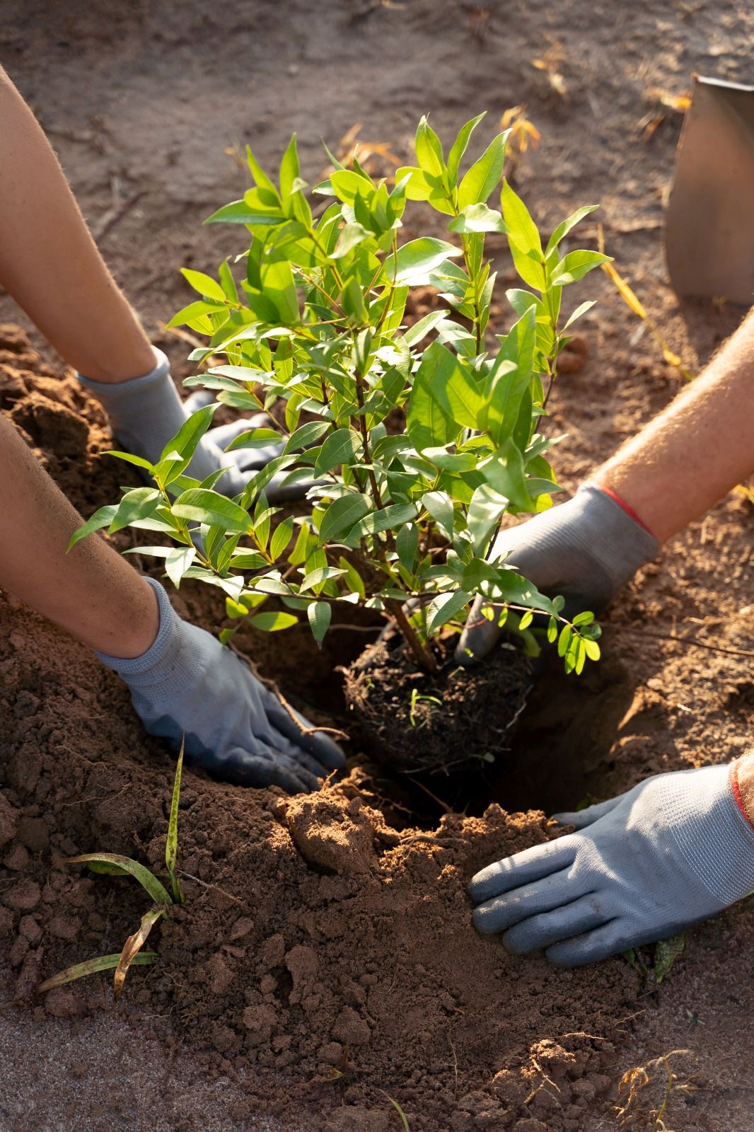 IMPULSA MUNICIPIO DE AGUASCALIENTES ACTIVIDADES CONMEMORATIVAS AL DÍA MUNDIAL DEL MEDIO AMBIENTE