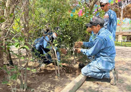 MUNICIPIO REFORESTA EL JARDÍN DE SAN MARCOS CON 300 TRUENOS