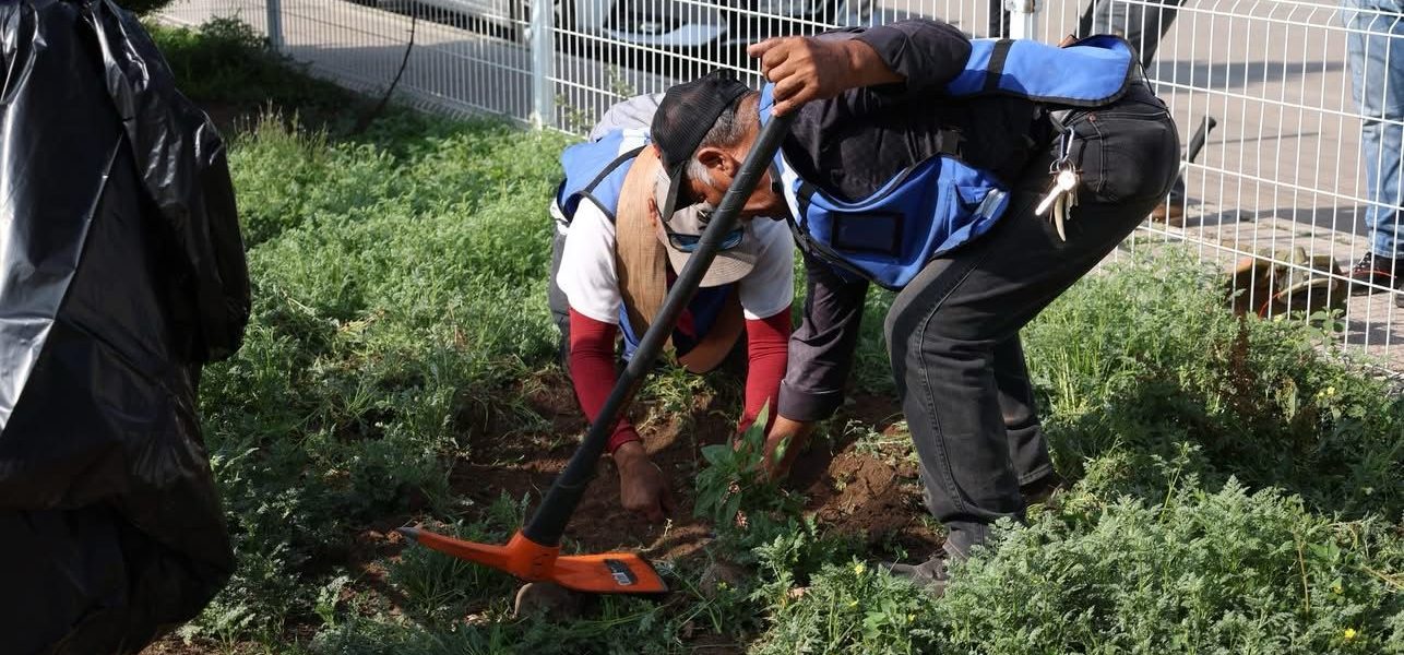 Reforestan por el futuro en Pabellón de Arteaga en el Día del Medio Ambiente