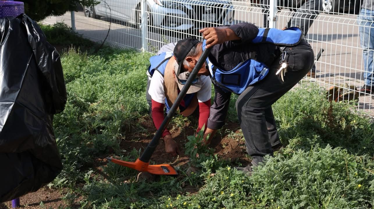 Reforestan por el futuro en Pabellón de Arteaga en el Día del Medio Ambiente