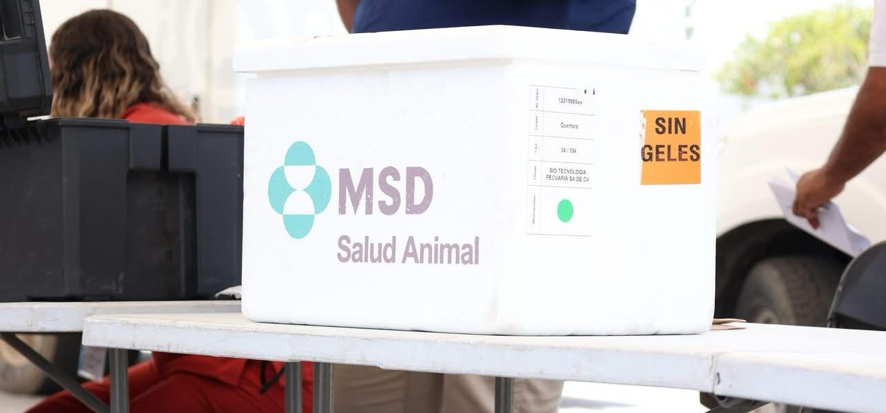 Exitosa Jornada de Salud Canina y Felina en la Explanada de los Símbolos Patrios