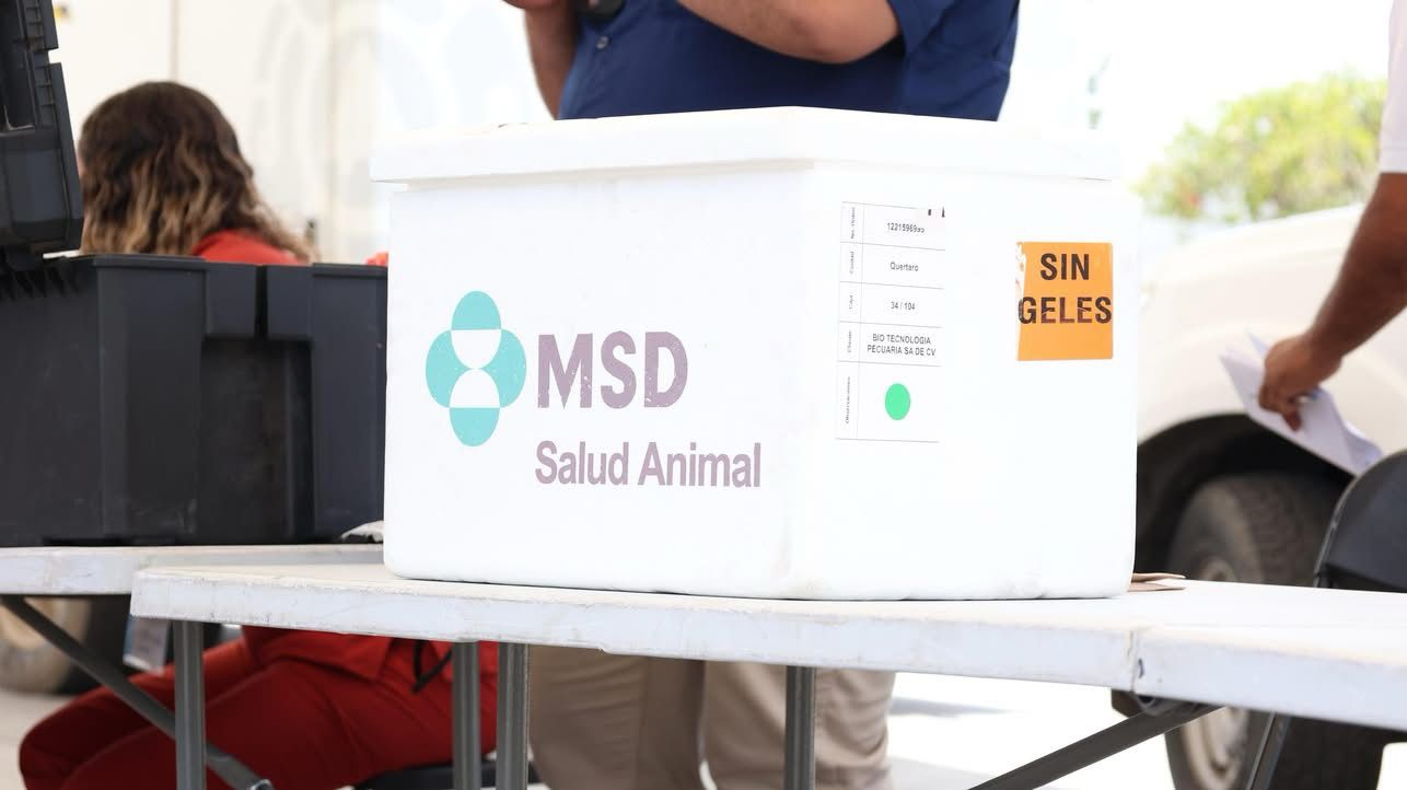 Exitosa Jornada de Salud Canina y Felina en la Explanada de los Símbolos Patrios