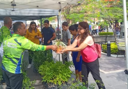 TODOS LOS MARTES, EN LOS VIVEROS ESTATALES REGALAN PLANTAS Y ÁRBOLES