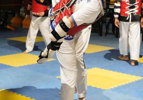 Un total de 35 atletas que forman parte de la selección del deporte escolar representaron a Aguascalientes en el Campamento de Taekwondo organizado por Idulio Islas, ex seleccionado nacional, atleta olímpico y campeón mundial juvenil.