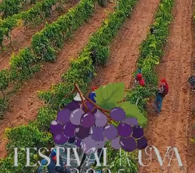🍇 FESTIVAL DE LA UVA EN COSÍO 🍇