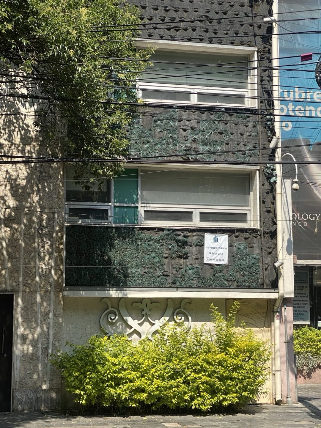 Prestanombres de García Luna pagaron a Julia Abdalá (pareja de Bartlett) el doble por supuesta venta de edificio