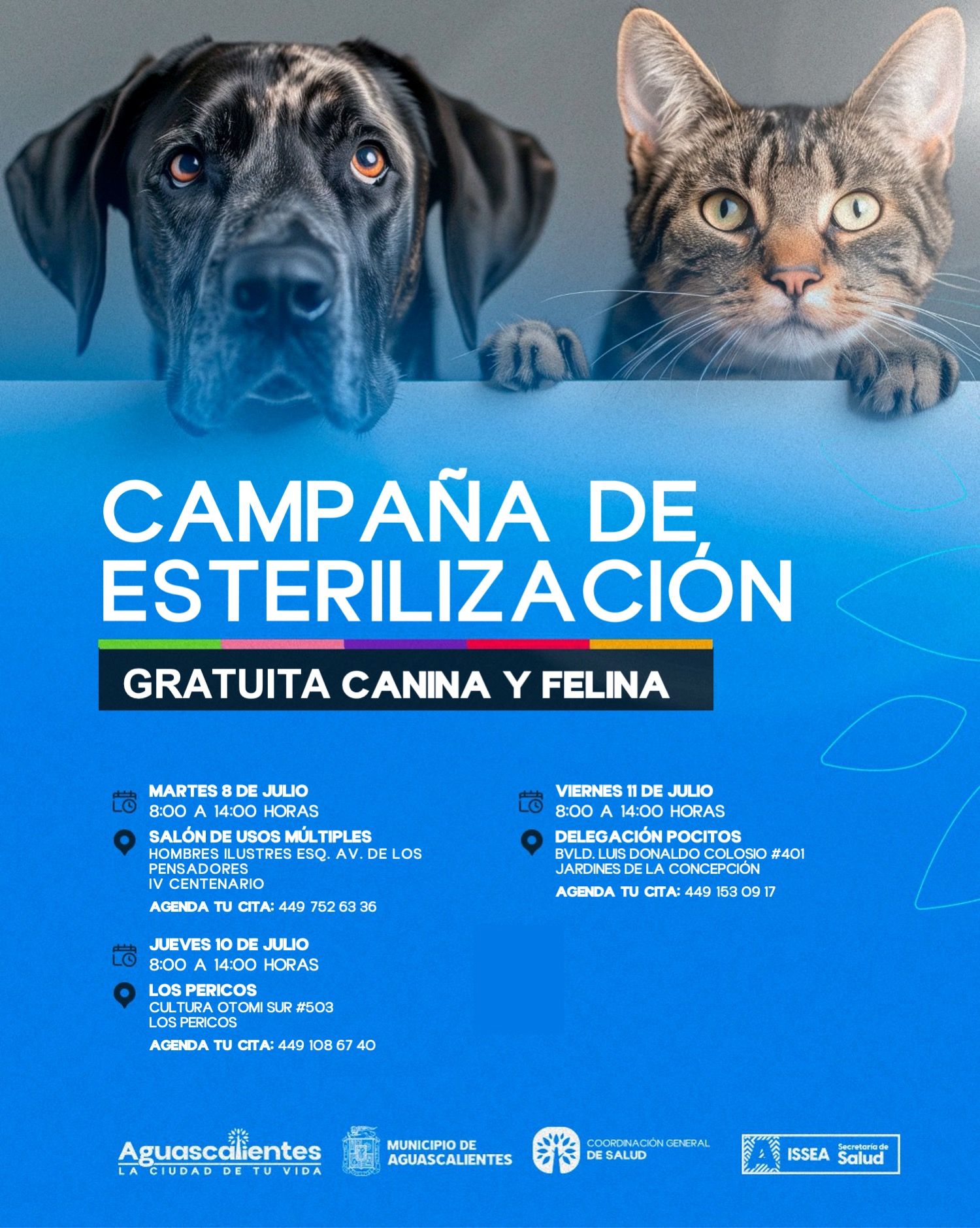 UNEN ESFUERZOS COORDINACIÓN DE SALUD MUNICIPAL E ISSEA EN NUEVAS JORNADAS DE ESTERILIZACIÓN PARA FELINOS Y CANINOS