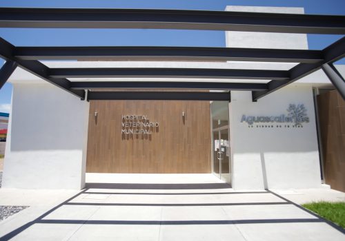 HOSPITAL VETERINARIO MUNICIPAL ESTARÁ LISTO EN SEPTIEMBRE