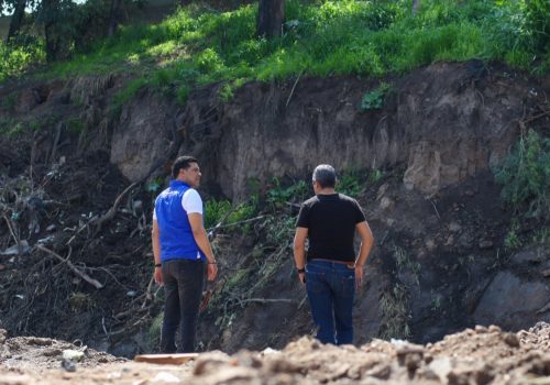 MÁS DE 20 MIL PLANTAS ENTREGADAS EN EL PROGRAMA DE DONACIÓN DEL VIVERO MUNICIPAL 2025