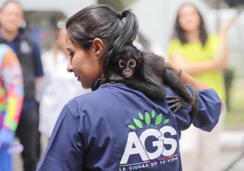 EL PARQUE HIDALGO INVITA A CONOCER A «BOTITAS», SU NUEVO INTEGRANTE