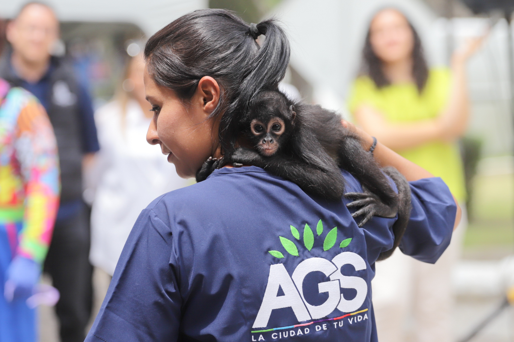 EL PARQUE HIDALGO INVITA A CONOCER A «BOTITAS», SU NUEVO INTEGRANTE